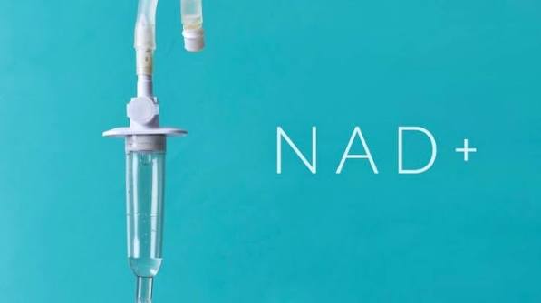 NAD 주사 칼럼