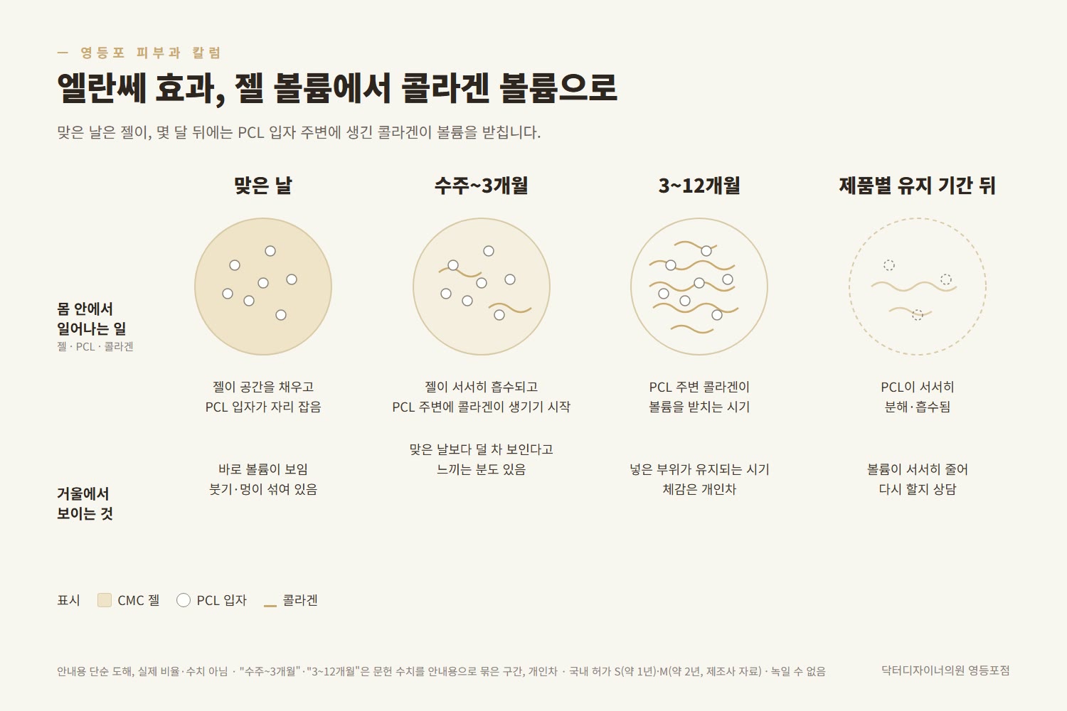 엘란쎄 효과 시간표 도해, 젤 흡수와 콜라겐 생성 - 닥터디자이너의원 영등포점